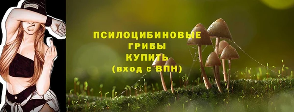 винт Армянск
