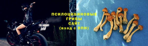 винт Армянск