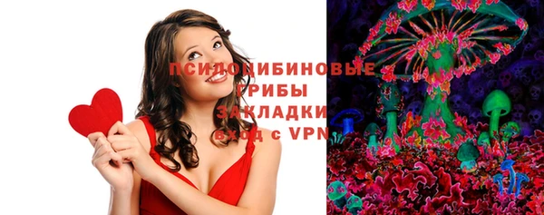 винт Армянск