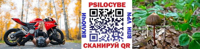 Псилоцибиновые грибы Psilocybe Миньяр